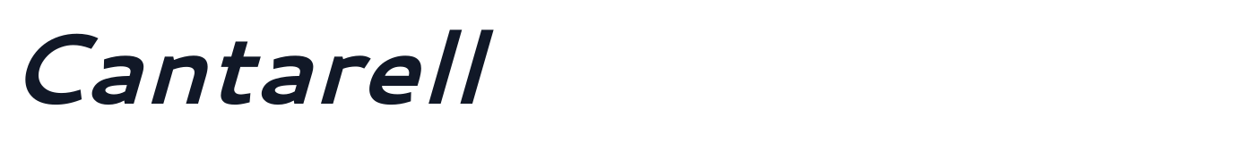 Cantarell — Cantarell-BoldItalic.ttf