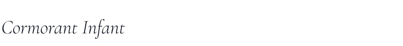 Cormorant Infant — CormorantInfant-Italic[wght].ttf