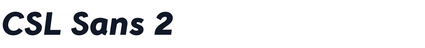 CSL Sans 2 — CSLSans2-BlackItalic.ttf
