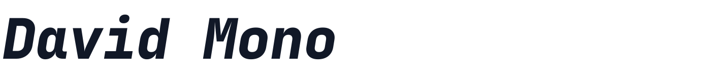 David Mono — DavidMono-ExtraBoldItalic.ttf