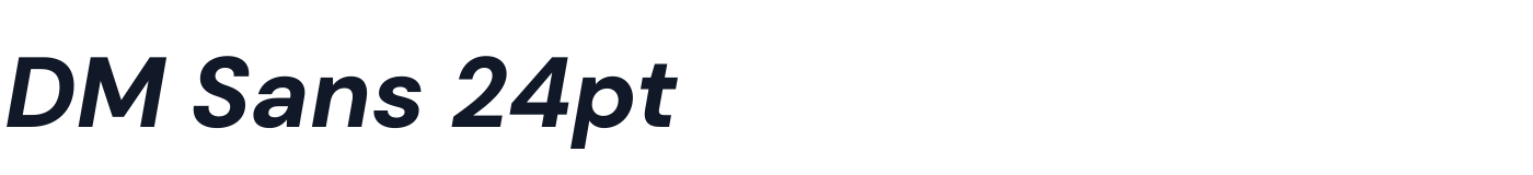 DM Sans 24pt — DMSans24pt-ExtraBoldItalic.otf