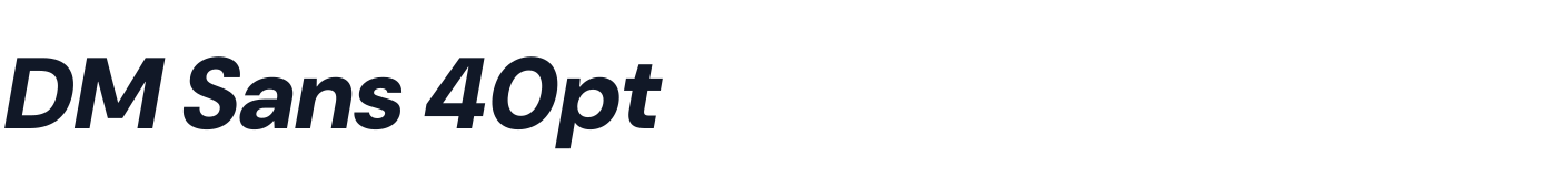 DM Sans 40pt — DMSans40pt-BlackItalic.otf