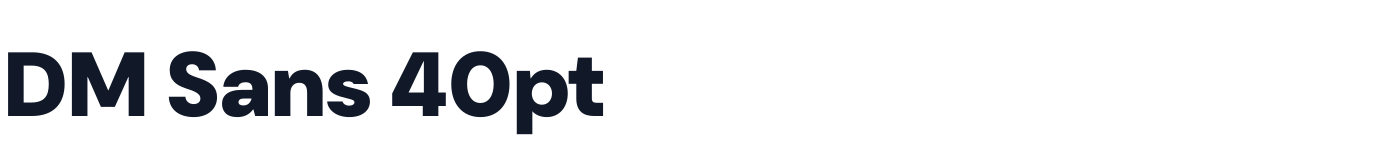DM Sans 40pt — DMSans40pt-ExtraBlack.otf