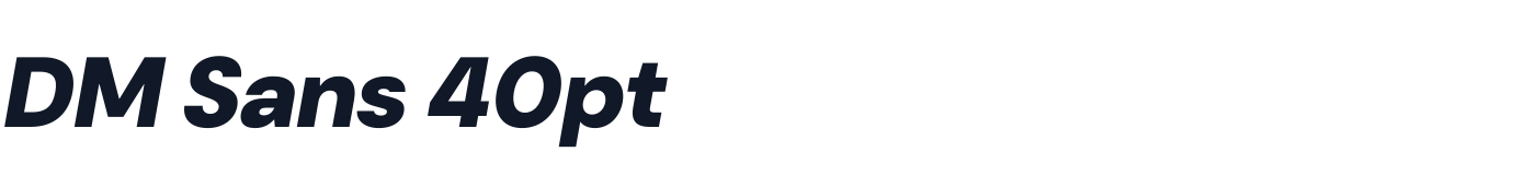 DM Sans 40pt — DMSans40pt-ExtraBlackItalic.otf
