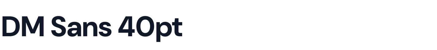DM Sans 40pt — DMSans40pt-ExtraBold.otf
