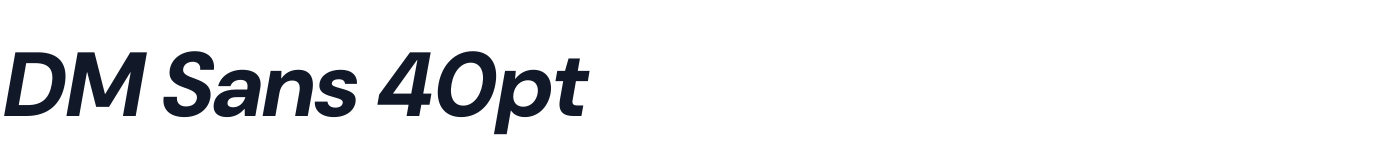 DM Sans 40pt — DMSans40pt-ExtraBoldItalic.otf