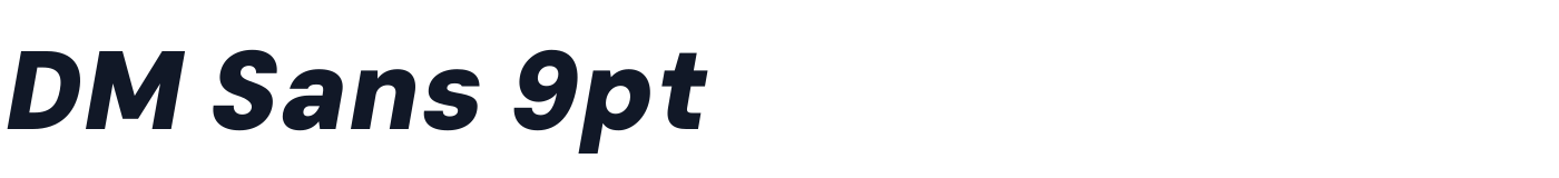 DM Sans 9pt — DMSans9pt-ExtraBlackItalic.otf