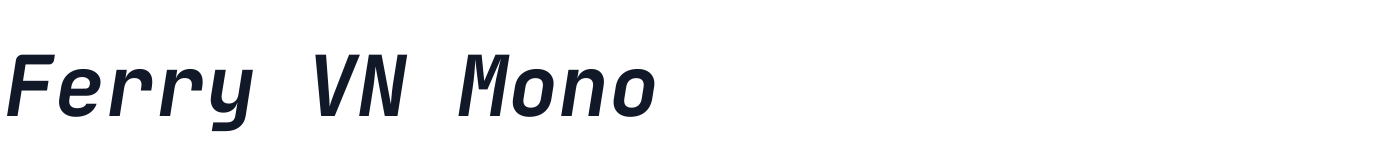 Ferry VN Mono — FerryVNMono-BoldItalic.ttf