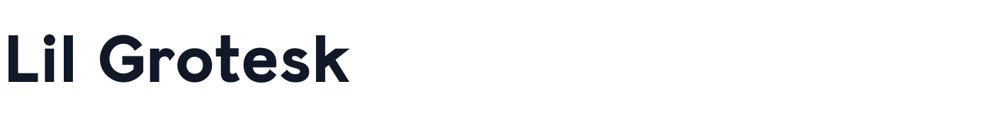 Lil Grotesk — LilGrotesk-Heavy.ttf