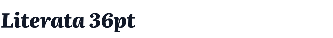 Literata 36pt — Literata36pt-ExtraBoldItalic.ttf