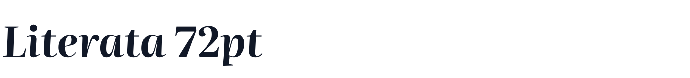 Literata 72pt — Literata72pt-BoldItalic.ttf