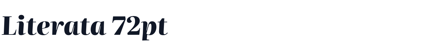 Literata 72pt — Literata72pt-ExtraBoldItalic.ttf