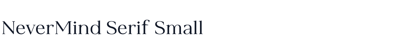 NeverMind Serif Small — NeverMindSerifSmall-Regular.ttf