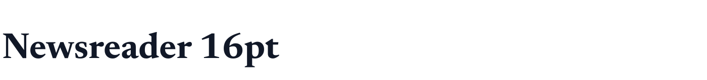 Newsreader 16pt — Newsreader16pt-Bold.ttf