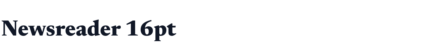 Newsreader 16pt — Newsreader16pt-ExtraBold.ttf