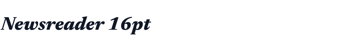 Newsreader 16pt — Newsreader16pt-ExtraBoldItalic.ttf