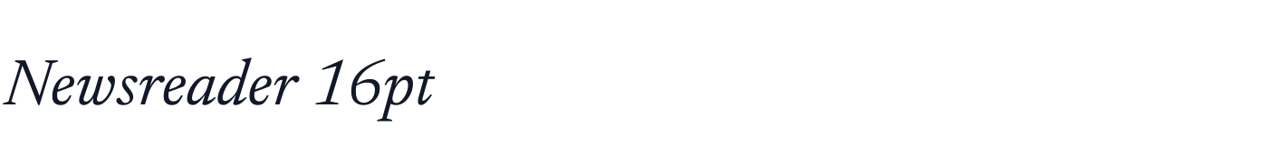 Newsreader 16pt — Newsreader16pt-Italic.ttf