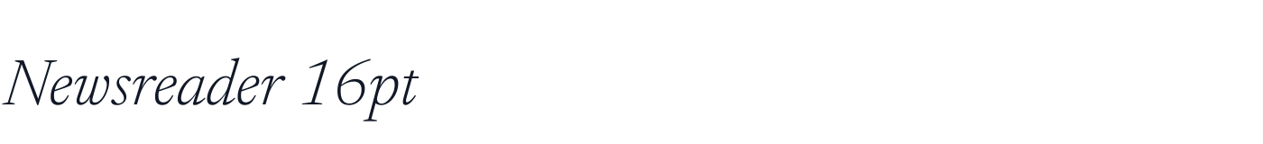 Newsreader 16pt — Newsreader16pt-LightItalic.ttf