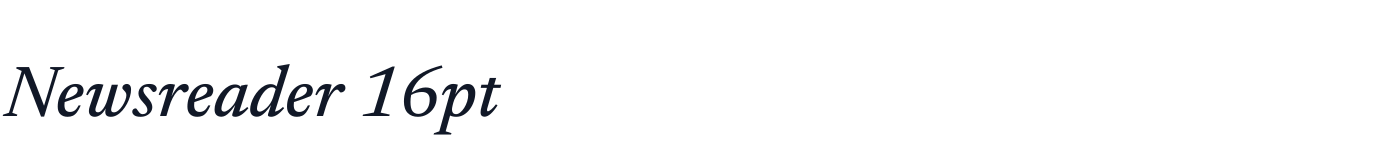 Newsreader 16pt — Newsreader16pt-MediumItalic.ttf