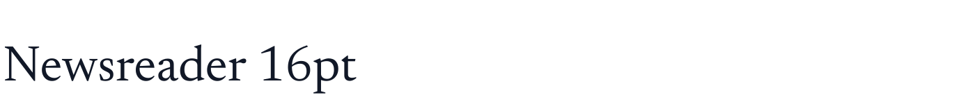 Newsreader 16pt — Newsreader16pt-Regular.ttf