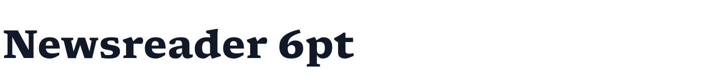 Newsreader 6pt — Newsreader6pt-Bold.ttf