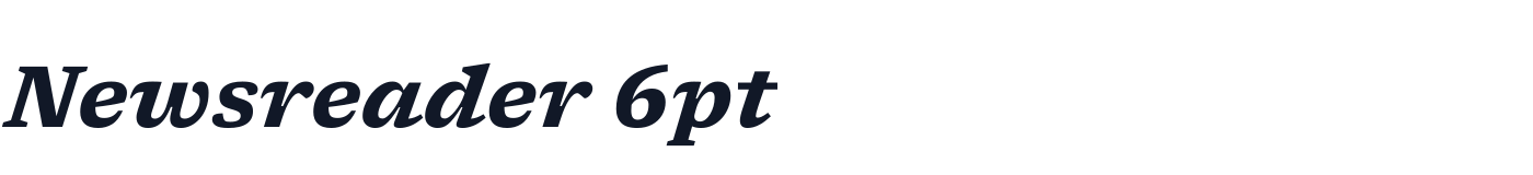 Newsreader 6pt — Newsreader6pt-BoldItalic.ttf