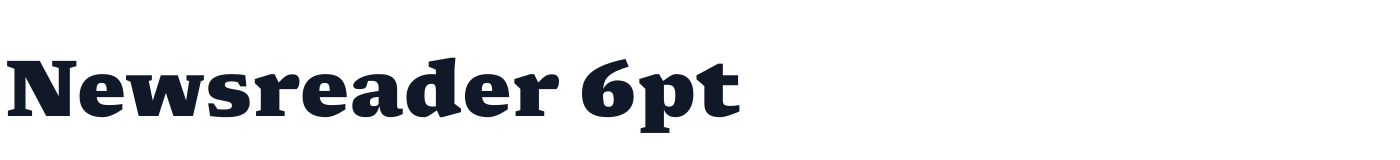 Newsreader 6pt — Newsreader6pt-ExtraBold.ttf