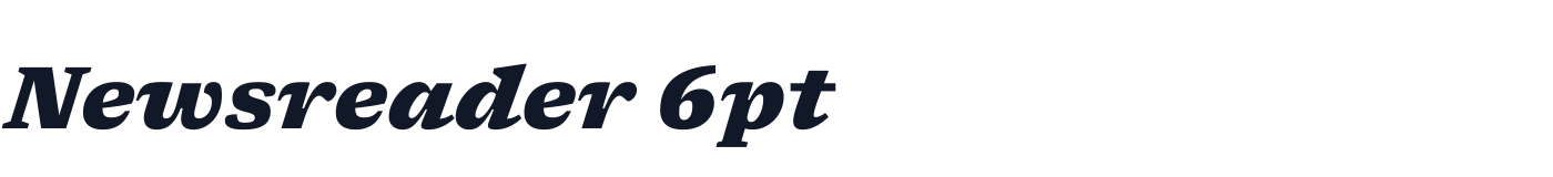 Newsreader 6pt — Newsreader6pt-ExtraBoldItalic.ttf