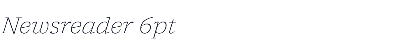 Newsreader 6pt — Newsreader6pt-ExtraLightItalic.ttf