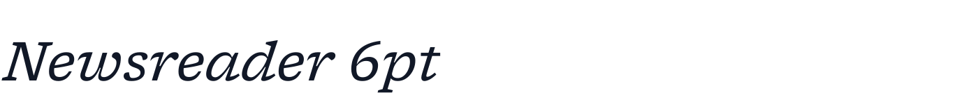 Newsreader 6pt — Newsreader6pt-Italic.ttf