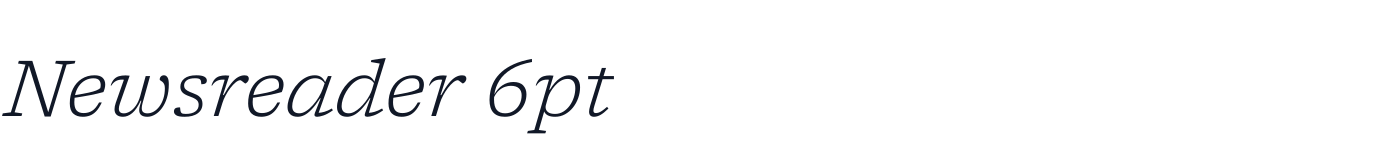 Newsreader 6pt — Newsreader6pt-LightItalic.ttf