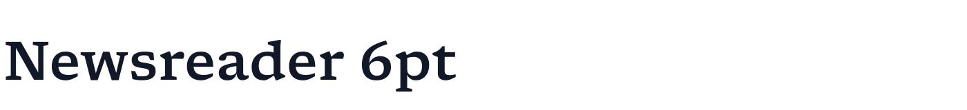 Newsreader 6pt — Newsreader6pt-Medium.ttf