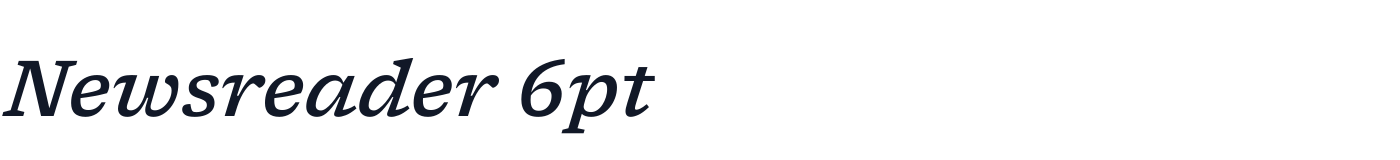 Newsreader 6pt — Newsreader6pt-MediumItalic.ttf