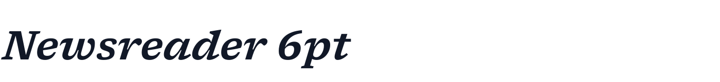 Newsreader 6pt — Newsreader6pt-SemiBoldItalic.ttf