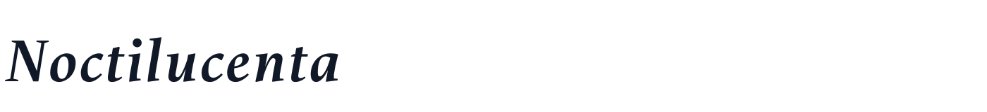 Noctilucenta — Noctilucenta-Bold-Italic.otf