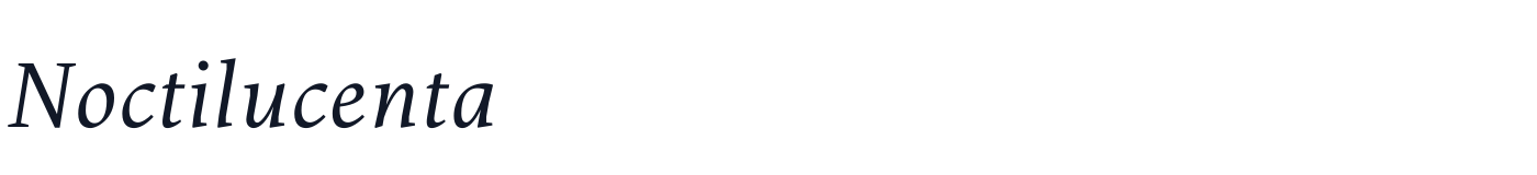Noctilucenta — Noctilucenta-Italic.otf