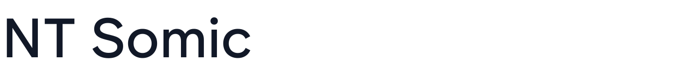 NT Somic — NTSomic-Medium.ttf