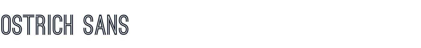 Ostrich Sans — ostrich-sans-latin-700-normal.ttf