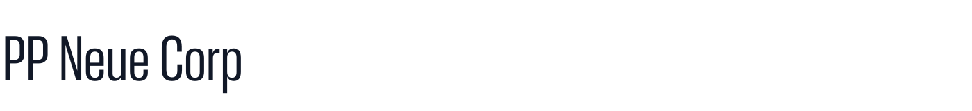 PP Neue Corp — 5d872c187a-Medium.otf
