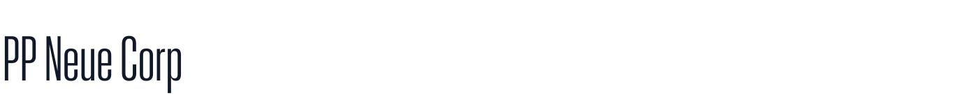 PP Neue Corp — 906a381d23-Medium.otf