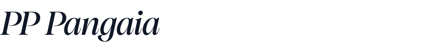 PP Pangaia — MediumItalic.otf
