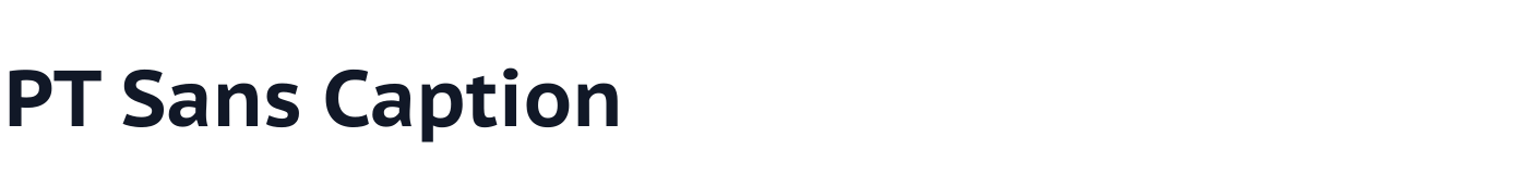 PT Sans Caption — PT_Sans-Caption-Web-Bold.ttf