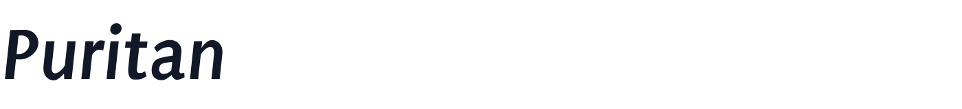 Puritan — Puritan-BoldItalic.ttf
