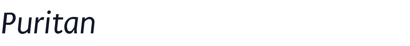 Puritan — Puritan-Italic.ttf