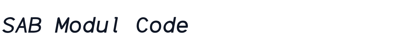 SAB Modul Code — SABModulCode-Italic.otf