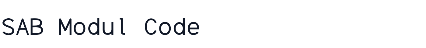 SAB Modul Code — SABModulCode-Light.otf