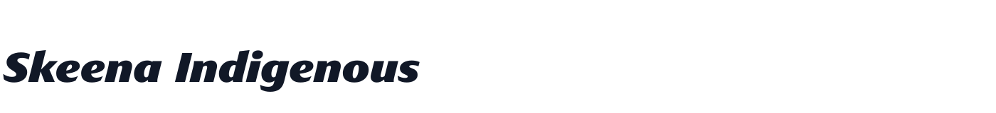 Skeena Indigenous — SkeenaIndigenous-BlackItalic.volt.ttf