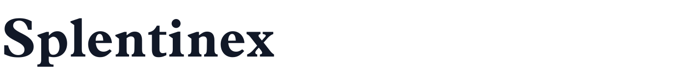 Splentinex — Splentinex-Bold.otf