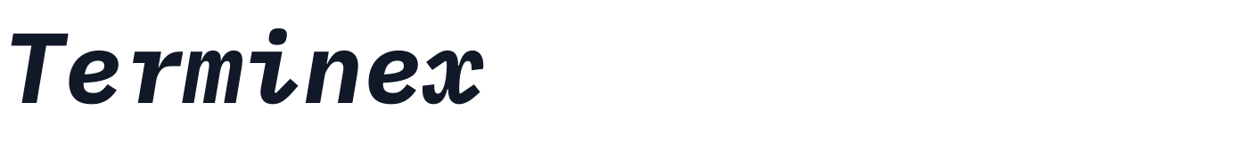 Terminex — Terminex-BoldItalic.ttf