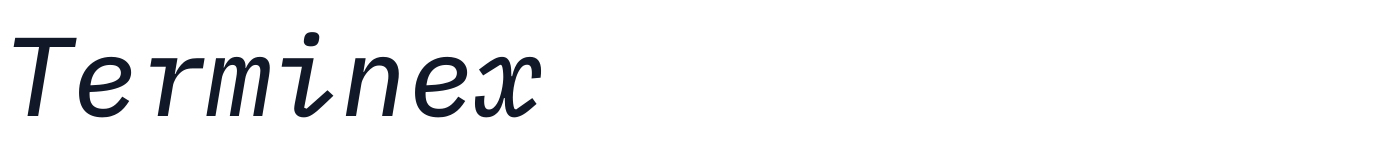 Terminex — Terminex-Italic.ttf
